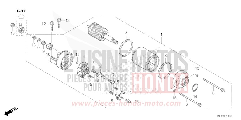 DEMARREUR de CMX 1100 "Rebel" PEARL STALLION BROWN (YR347) 2022